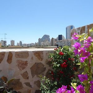 Hotel Calpe